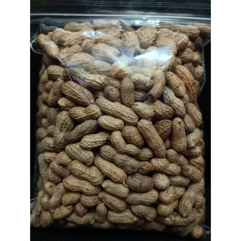 

KACANG KULIT SANGRAI 250 GRAM