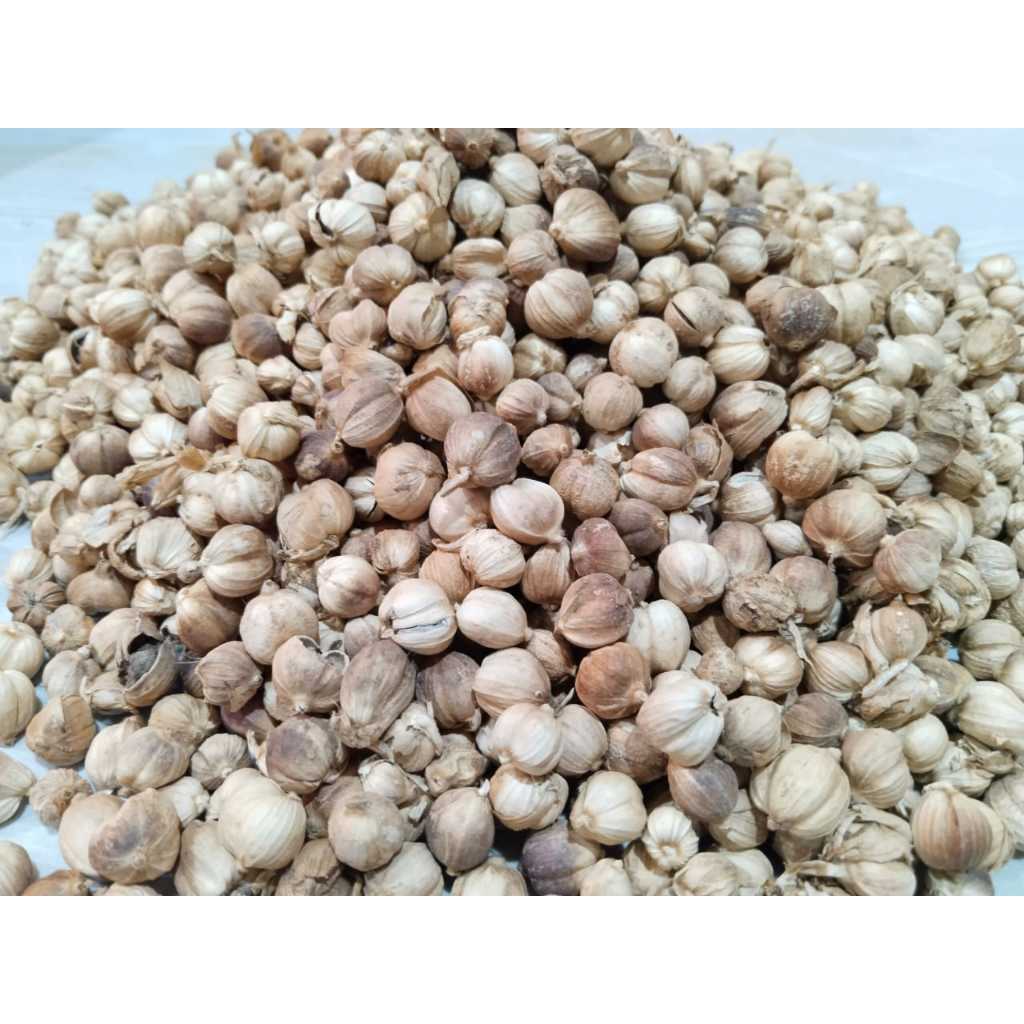 

KAPULAGA ASLI BERSIH & KERING VARIAN 100gr | 250gr | 1kg | - JAMU PANTJAS