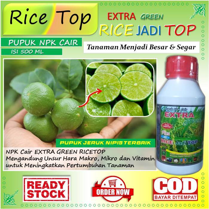 (Terbaru) pupuk jeruk nipis murah - pupuk cair jeruk nipis - pupuk organik jeruk nipis (Rice Top) pu