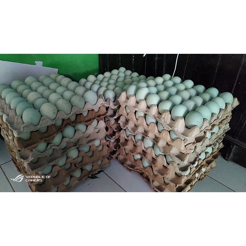 

Telur Asin Asli Brebes