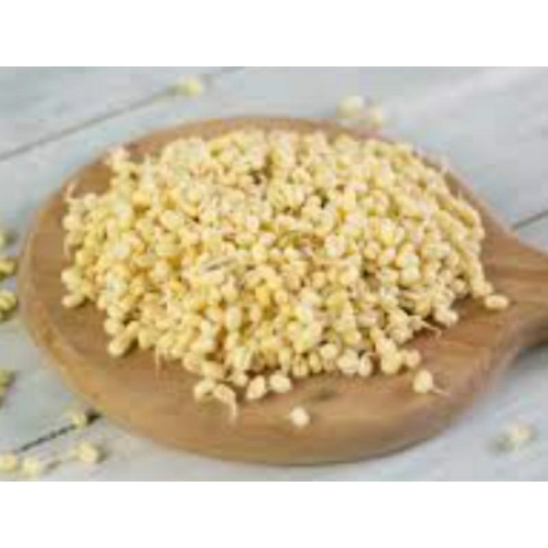 

kecambah/toge pendek/toge soto 250gr