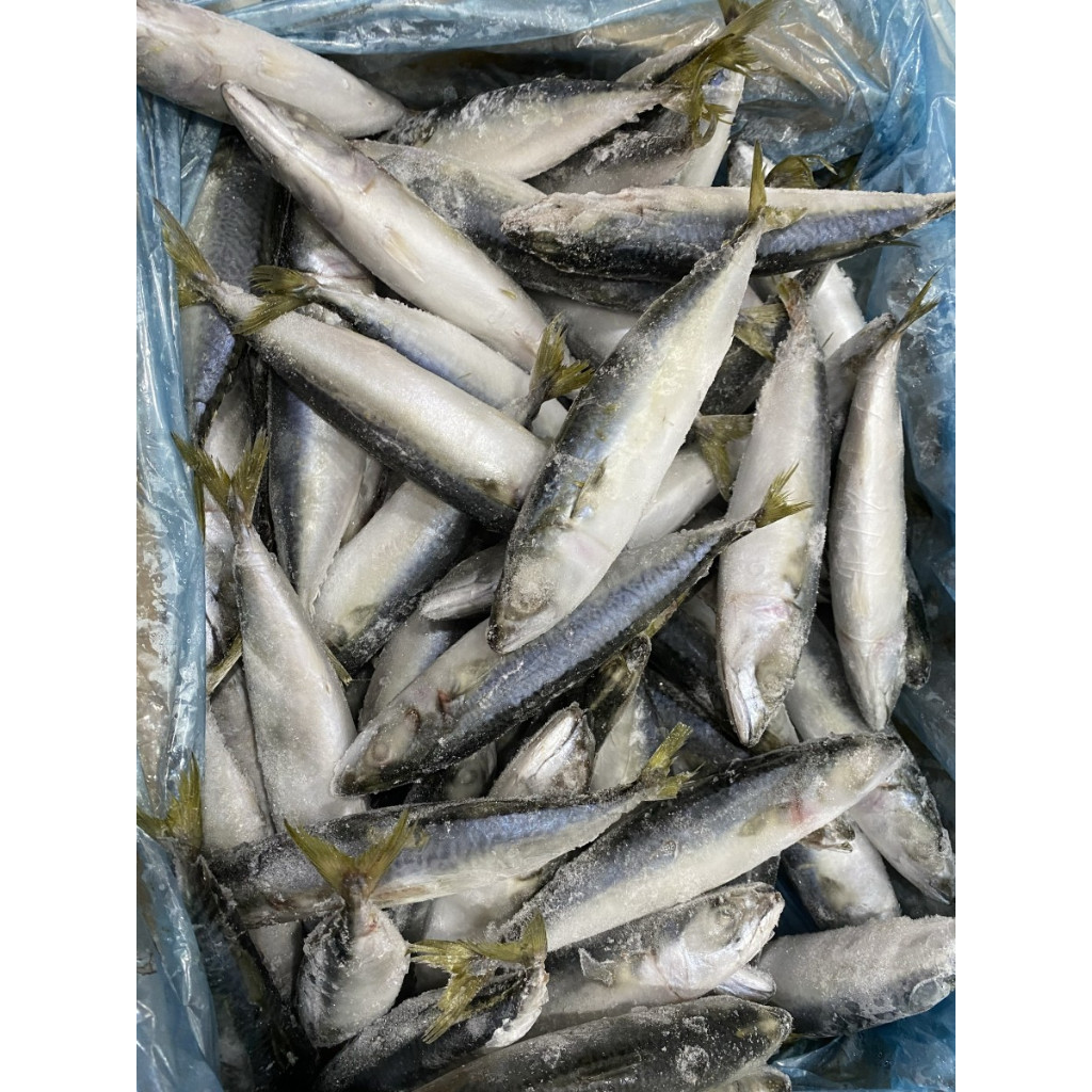 

RB Ikan salem iqf premium / ikan mackarel / saba fish kemasan 1 kg