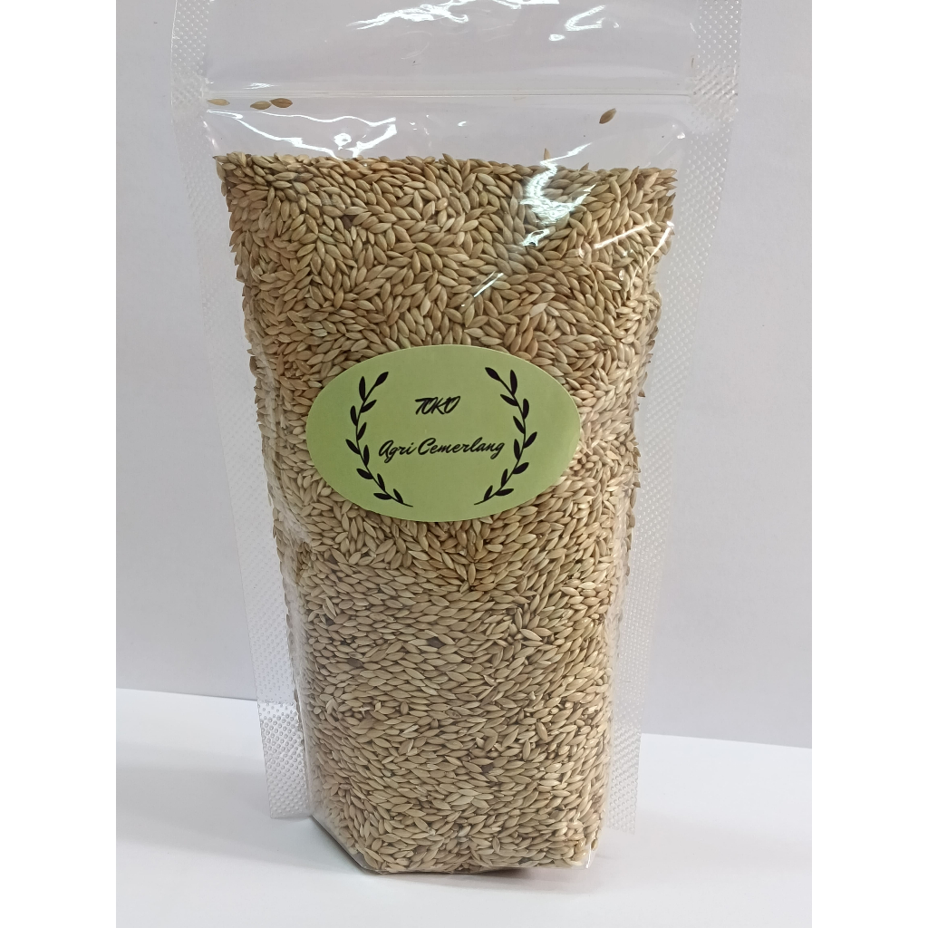 Kenari Seed (Canary Seed) Import Premium 250gr, 500gr Pakan Burung