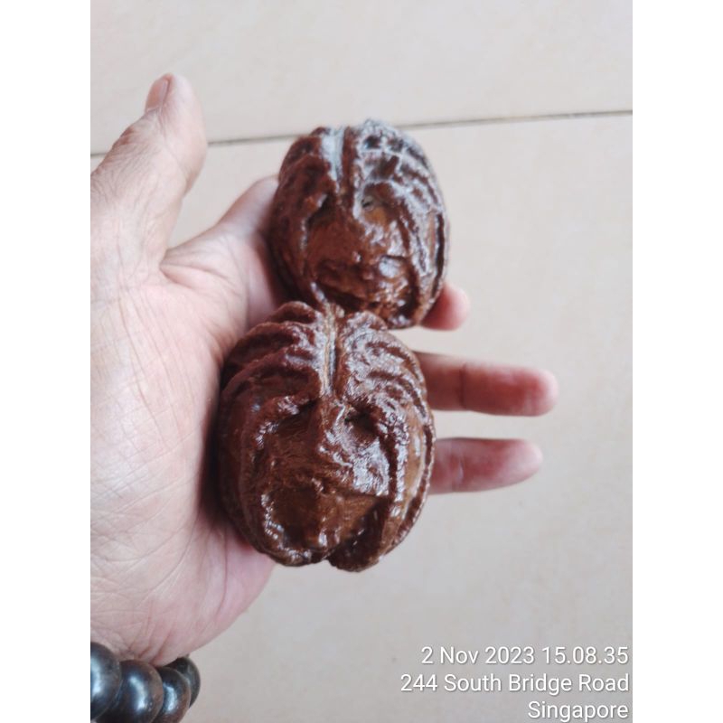 Kepala kera alat Therapy jari tangan dan otak.