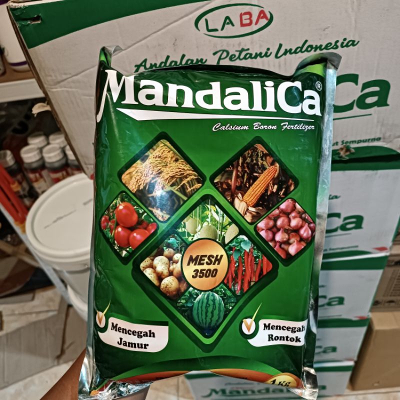 KALSIUM MANDALIKA Kalsium nutrisi tanaman