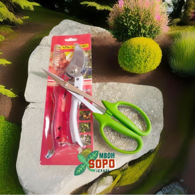 Alat Bonsai, Set 2 Gunting, Gunting Pruning dan Gunting Dahan