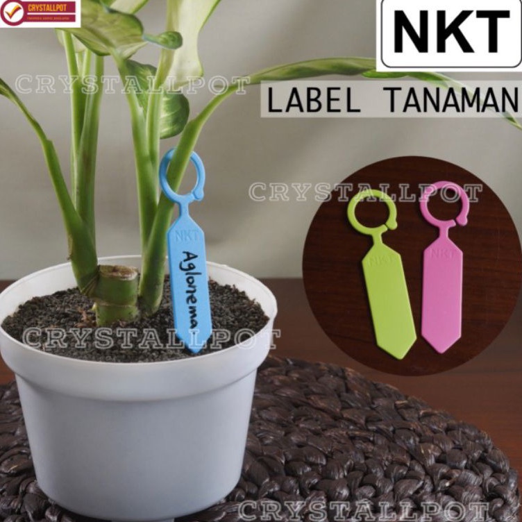 

Readystock label tag tanaman nkt warna warni name tag bahan tebal - per pack isi 50 pcs
