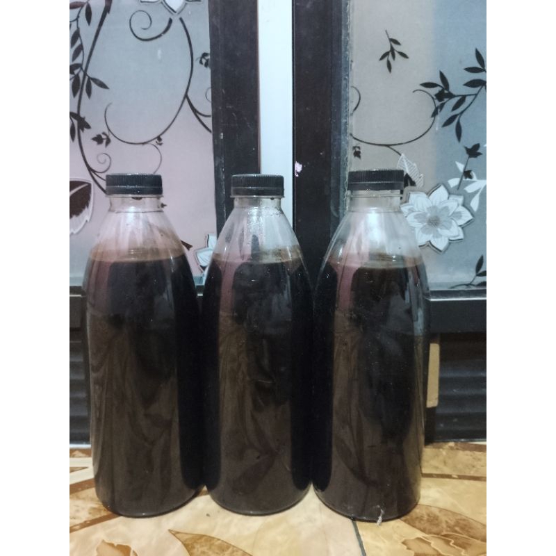 

Madu kelanceng hitam pahit