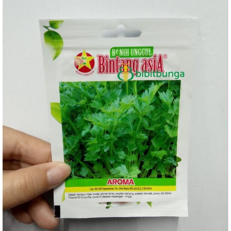 

Bibit Seledri Amigo - Repack