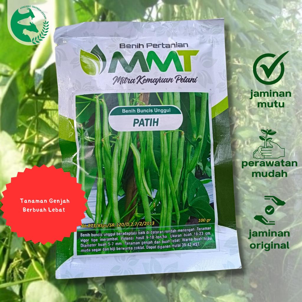 Benih Buncis PATIH 100 gr Unggul Ori Cap MMT