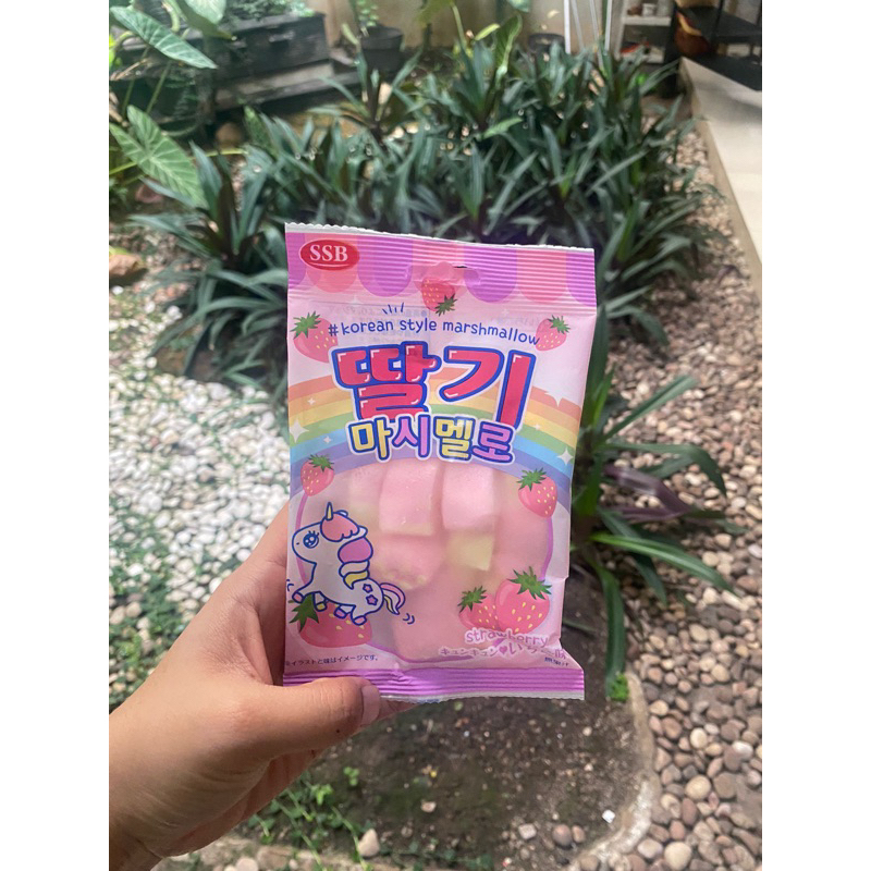 

strawberry marshmallow / bento / lunch box