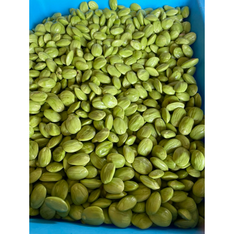 

promo PETE kupas 500 gram bersih utuh bebas ulat