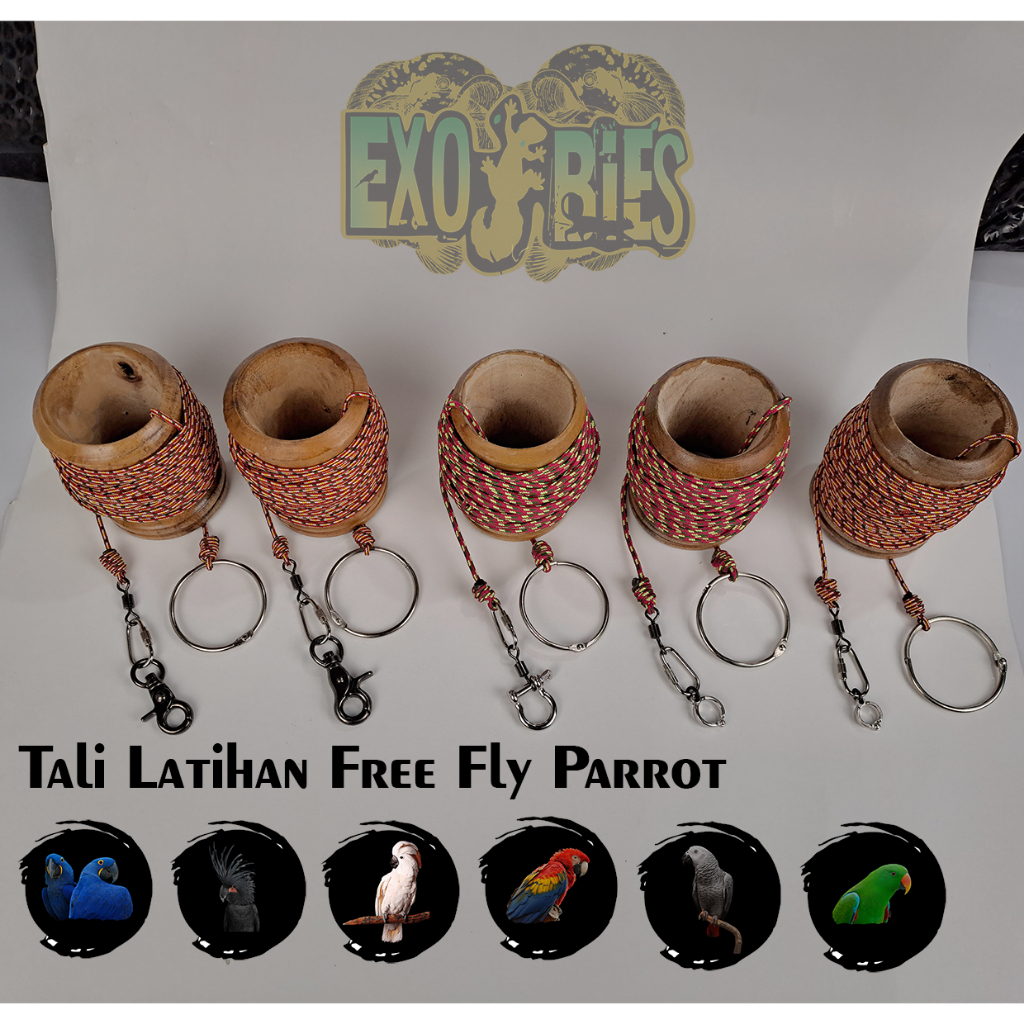 TALI LATIHAN FREE FLY BURUNG TALI LATIHAN BURUNG PARUH BENGKOK TALI FREE FLY KAKATUA TALI MACAW