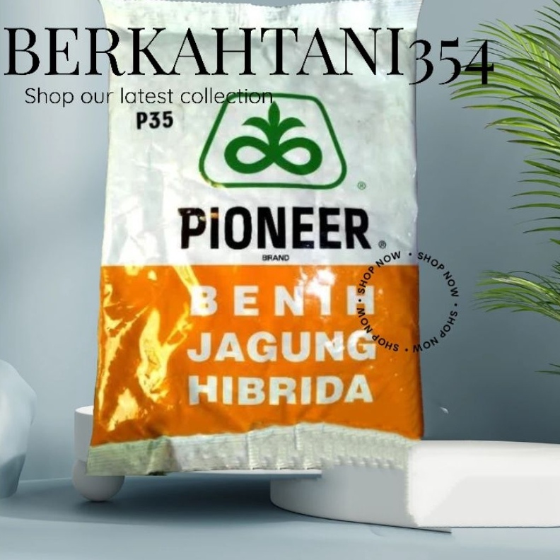 Terlaris Benih jagung p35 1kg Bibit jagung pioner p 35 original gas !!