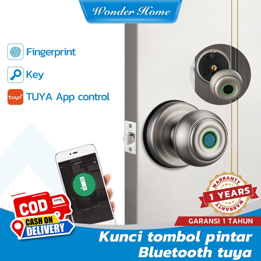 Tombol pintar sidik jari kunci Pintu TUYA Kontrol Bluetooth kunci pintu Sidik Jari Smart doorlock
