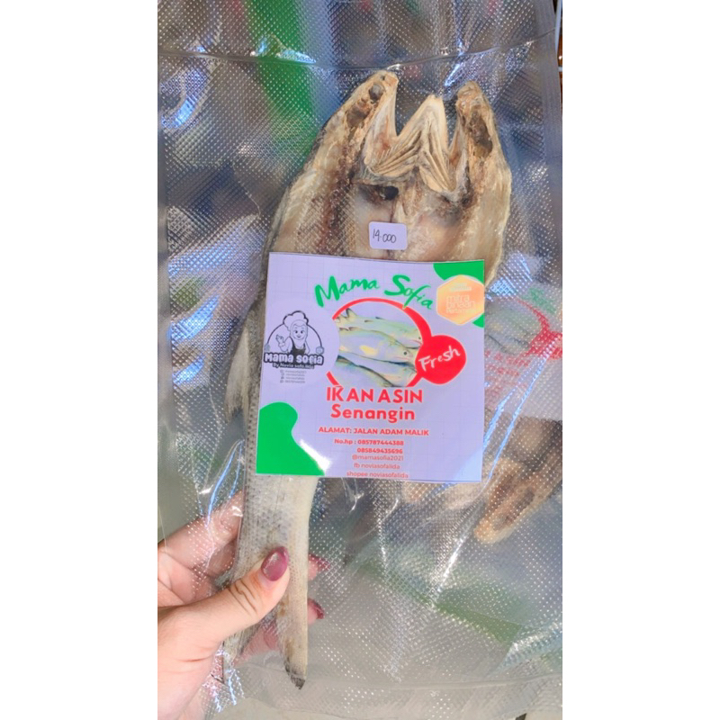 

ikan kering / ikan asin