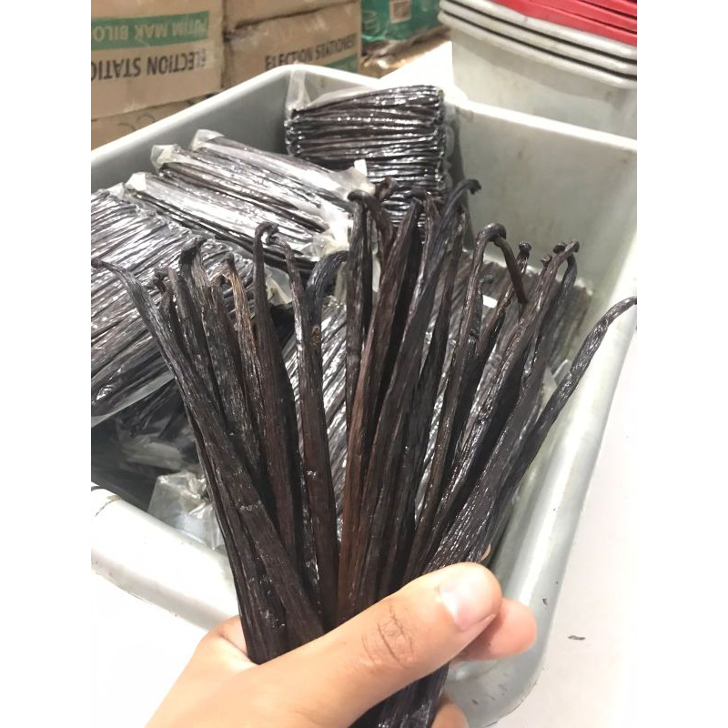

JUAL VANILLA BEANS GRADE GOURMATE | HARGA PALING MURAH | VANILLA BEANS INDONESIA
