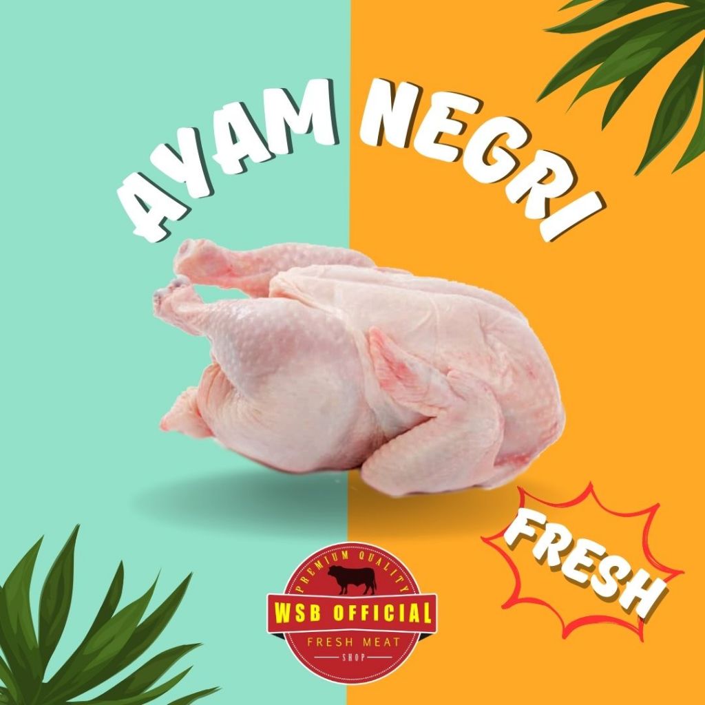 

Ayam Potong Broiler Fresh Karkas 1 Kg