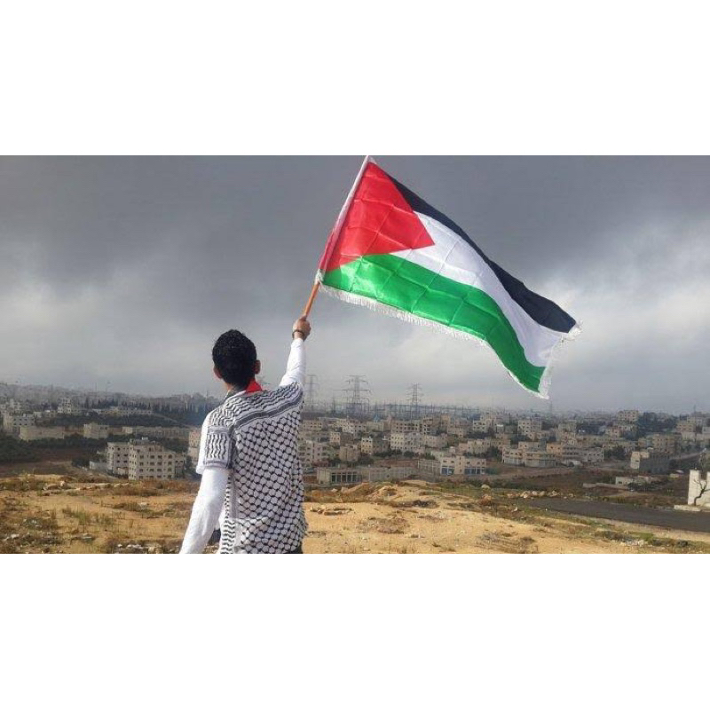 Bendera Palestina Ukuran Kecil Bendera Palestina Buat Ditangan