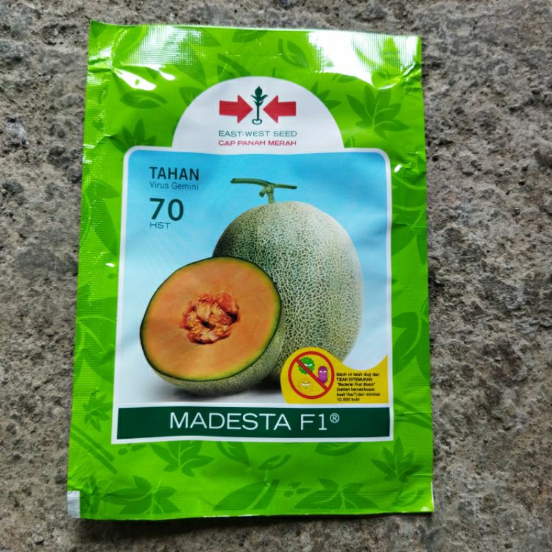 Benih MELON MADESTA F1 400 BUTIR