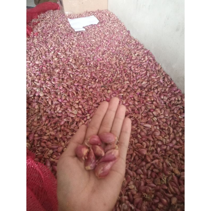 

bawang merah lokal kecil 1kg