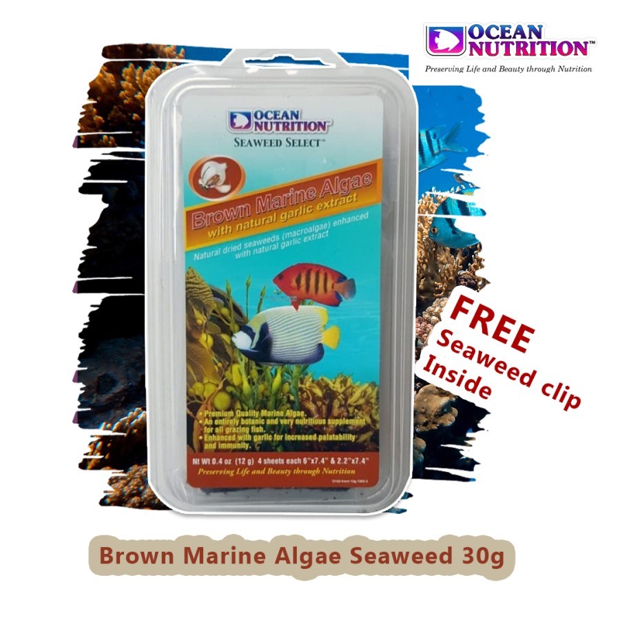 Ocean Nutrition Brown Marine Algae Seaweed 30 gr FREE Clip Inside Makanan Ikan Hias Tawar dan Laut /