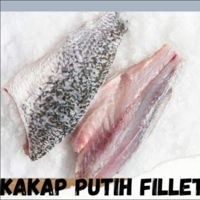 Kakap putih fillet / baramundi fillet frozen kemasan 1kg