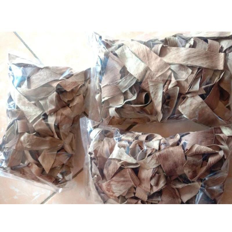 

Daun karet kebo kering herbal obat stroke dll 200gr