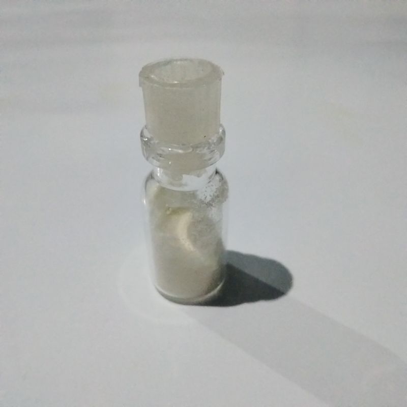 Bibit Yoghurt / Lactobacillus 100% Murni