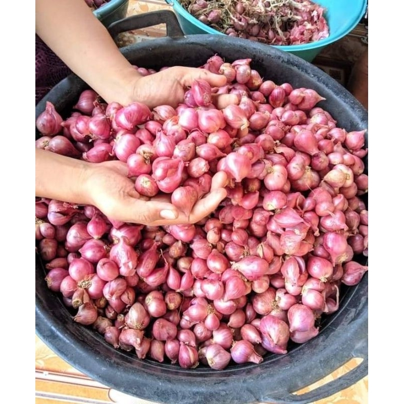 

Bawang merah | Rempah-rempah dapur | bumbu