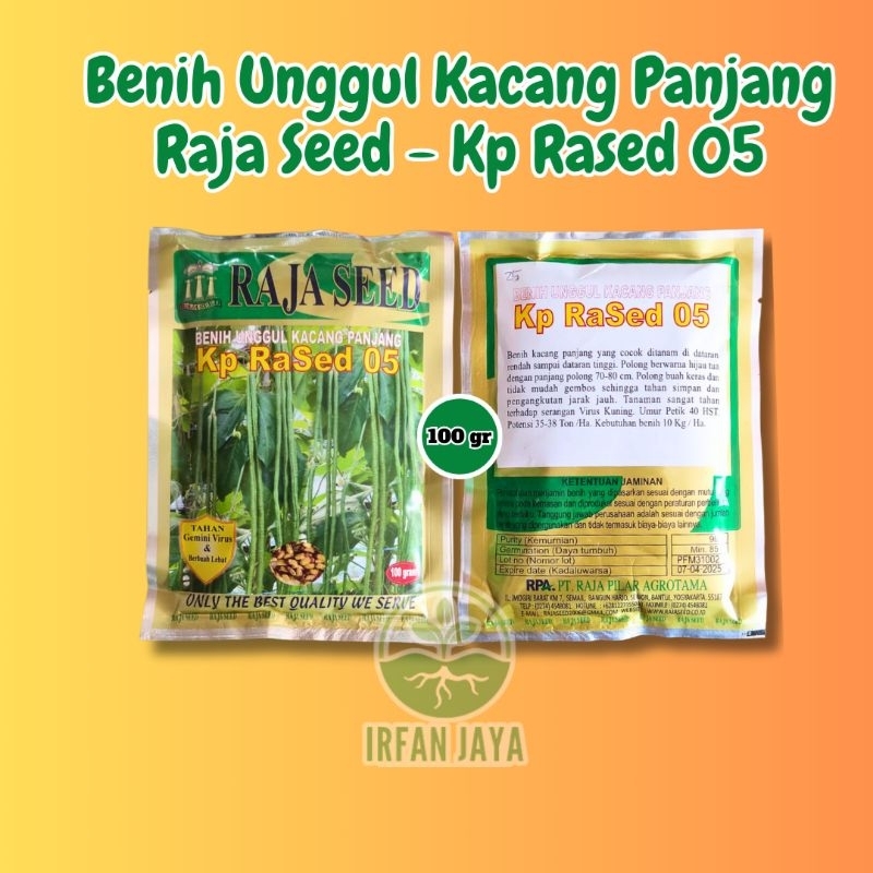 Benih Unggul Kacang Panjang - Raja Seed KP Rased 05  100 gr