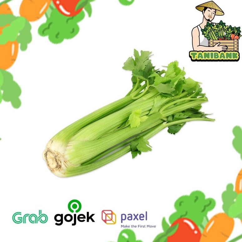

(ORIGINAL) HARGA 1KG Celery Stick import / Seledri Stik import,kualitas PREMIUM dan FRESH.