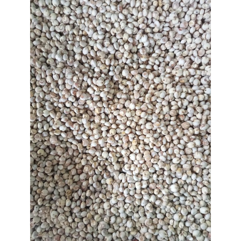 

10 KG BERAS SORGUM