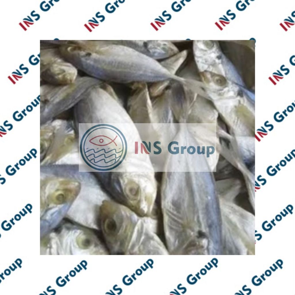 

Ikan Asin Selar 100gr