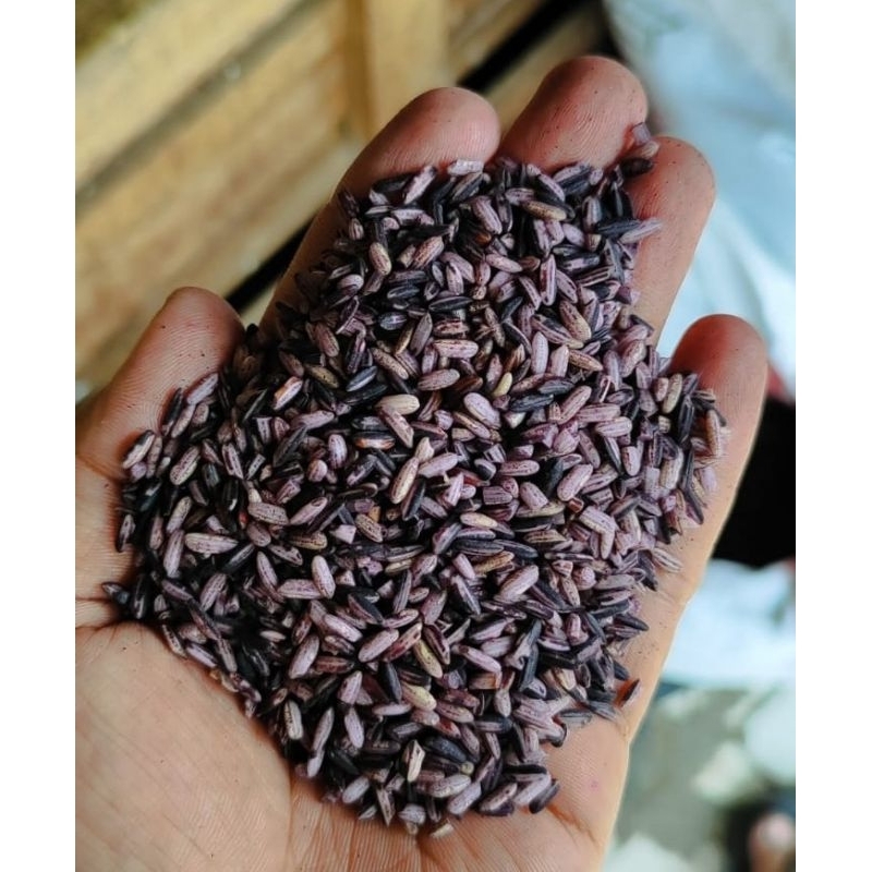 

ADY78 Beras Ketan Hitam Sosoh 1kg Kualitas Bagus