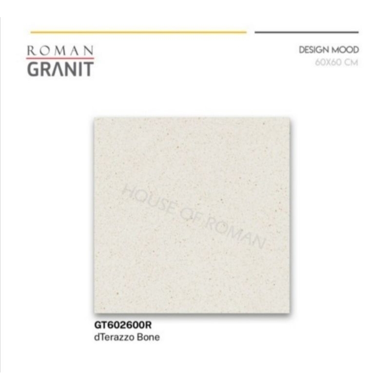Roman Granit GT602600R dTerazzo Bone 60x60 kw1