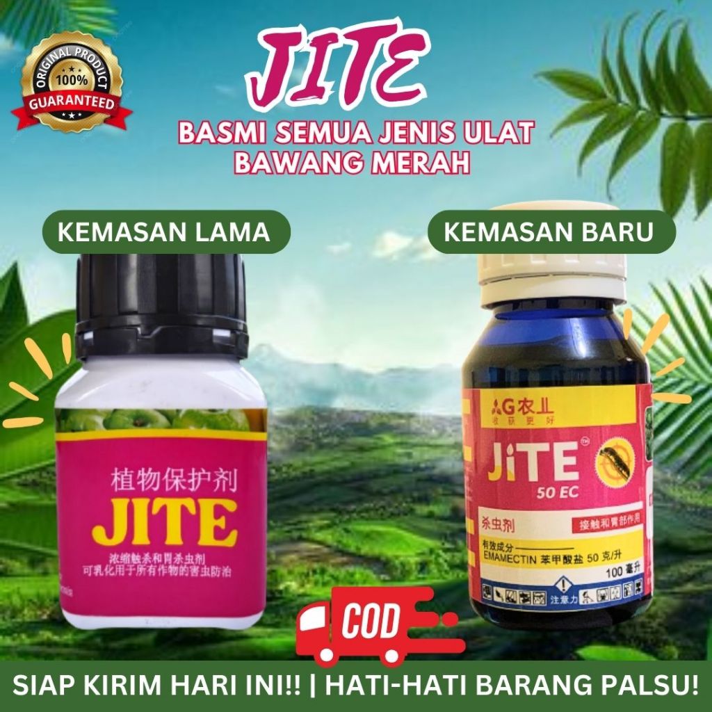 Jite Insektisida Pembasmi Hama Ulat Grayak Ulat Buah Sundep Gurem Thrips Dan Penggerek Batang Obat H