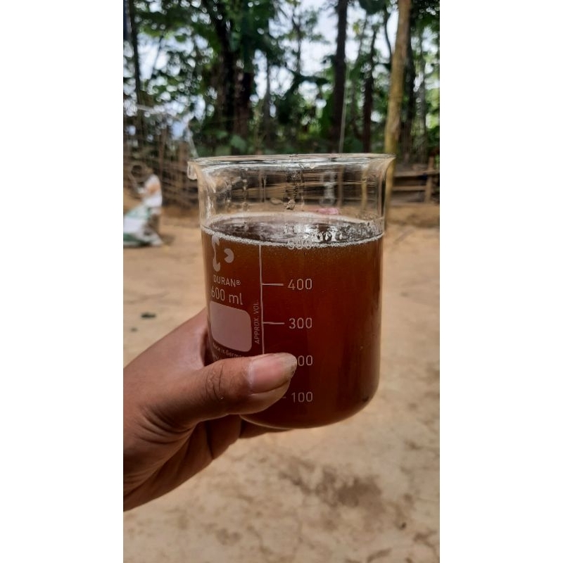 

Madu klanceng asli budidaya sendiri 100ml