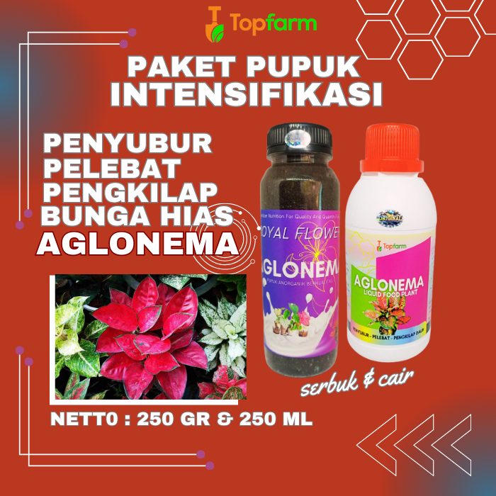 Pupuk Aglonema Untuk Daun Akar / Pupuk Aglonema Perbayak Anakan / Pupuk Aglonema Premium / Pupuk Agl