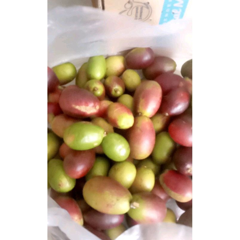 

matoa super 500gram