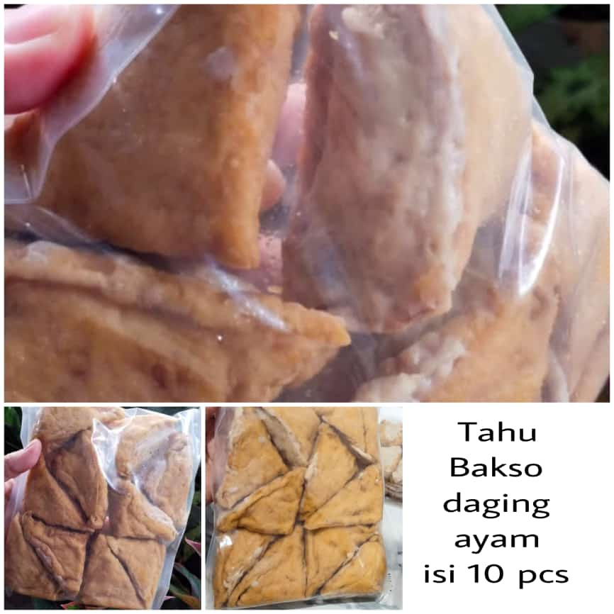 

Tahu Bakso Segitiga / Tahu Bakso Ayam isi 10