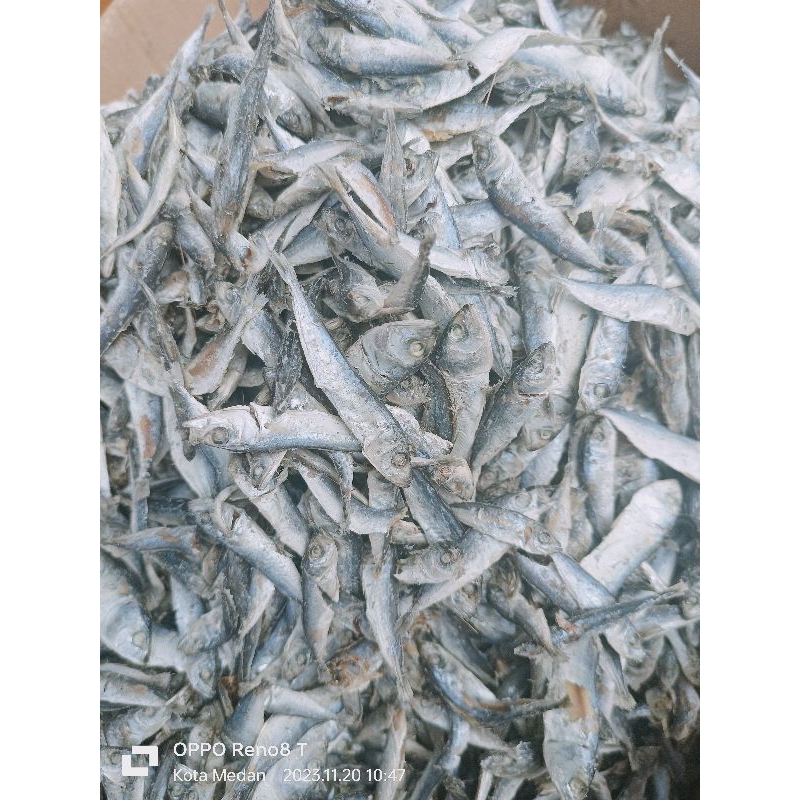 

Ikan asin rebus 500gram