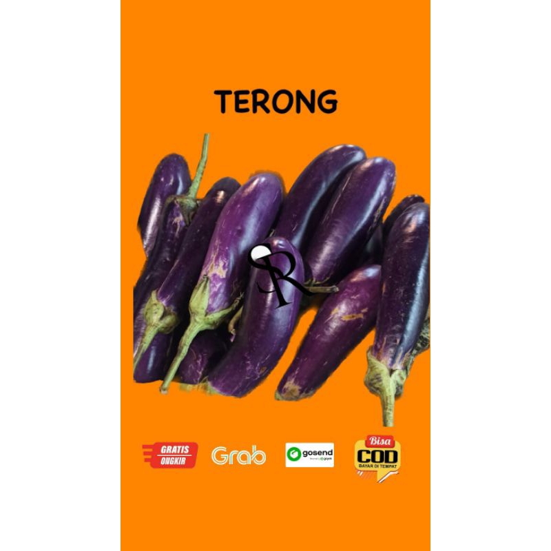 

terong limaribuan