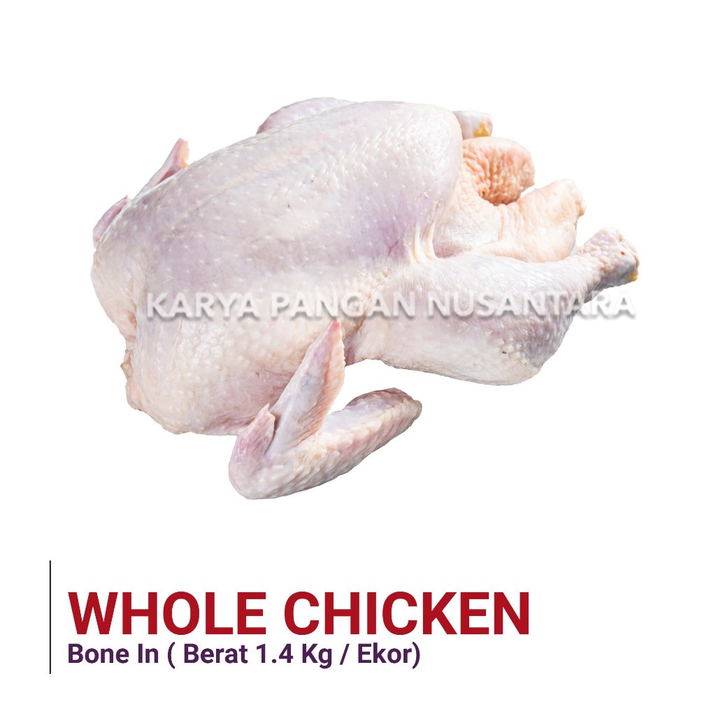 

AYAM UTUH WHOLE CHICKEN AYAM KARKAS AYAM BROILER BONE IN 1,4KG AN