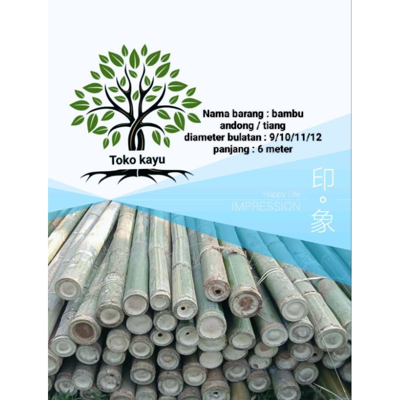 Bambu andong JUMBO / TIANG 10-12 panjang 6meter