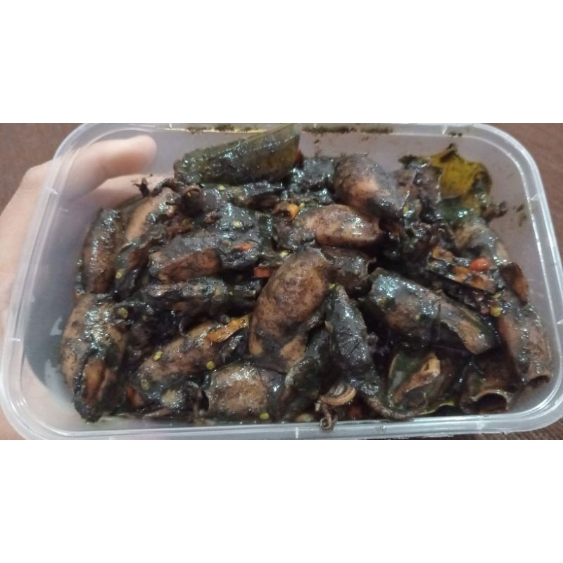 

Cumi Hitam / Cumi Exotis