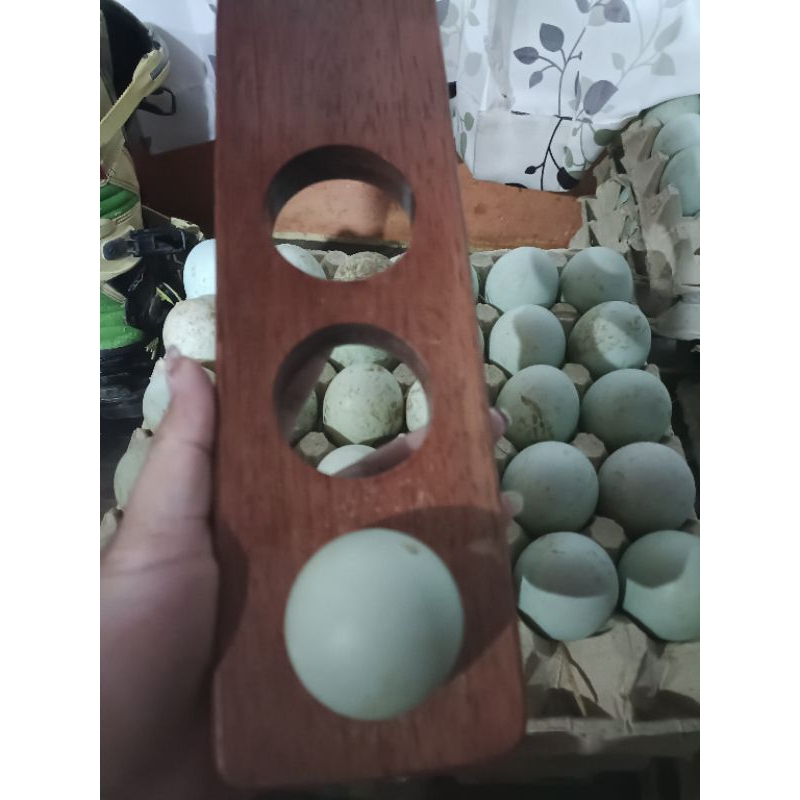 

telur bebek mentah