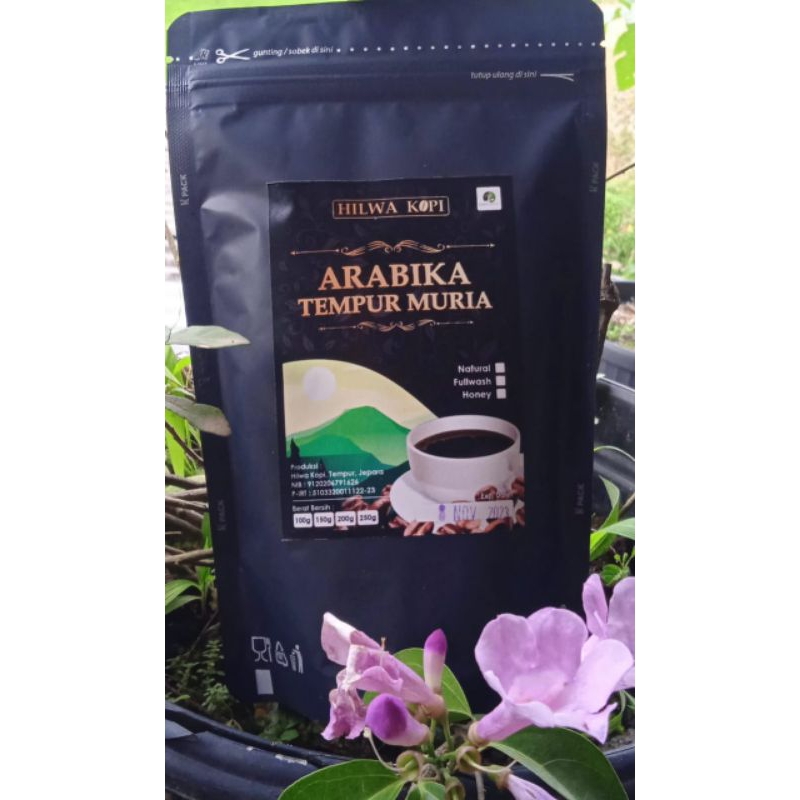 

Arabika Tempur Muria