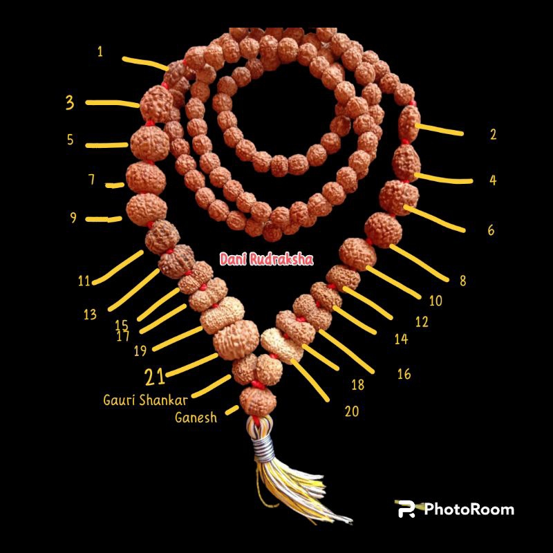 Indrakshi Mala / Combination of 1 Mukhi Rudraksh to 21 Mukhi Rudraksha