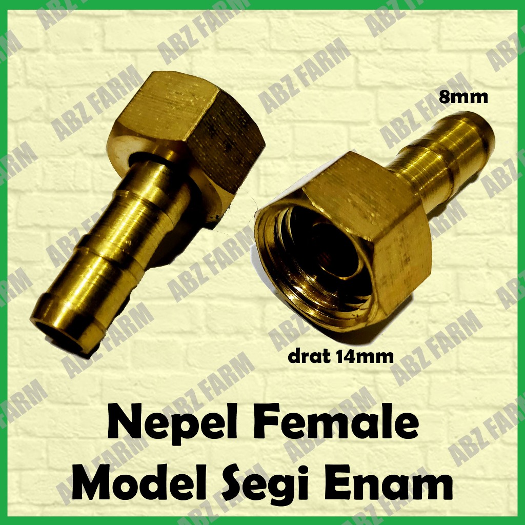 Nepel Sanchin Female / Betina Drat 14 mm untuk Selang 8 mm